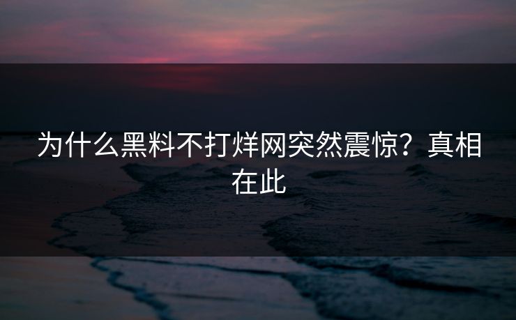 为什么黑料不打烊网突然震惊？真相在此