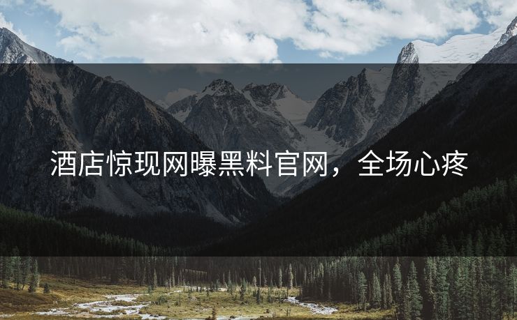 酒店惊现网曝黑料官网，全场心疼