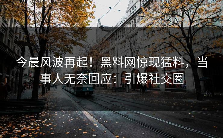 今晨风波再起！黑料网惊现猛料，当事人无奈回应：引爆社交圈