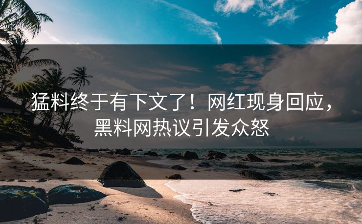 猛料终于有下文了！网红现身回应，黑料网热议引发众怒