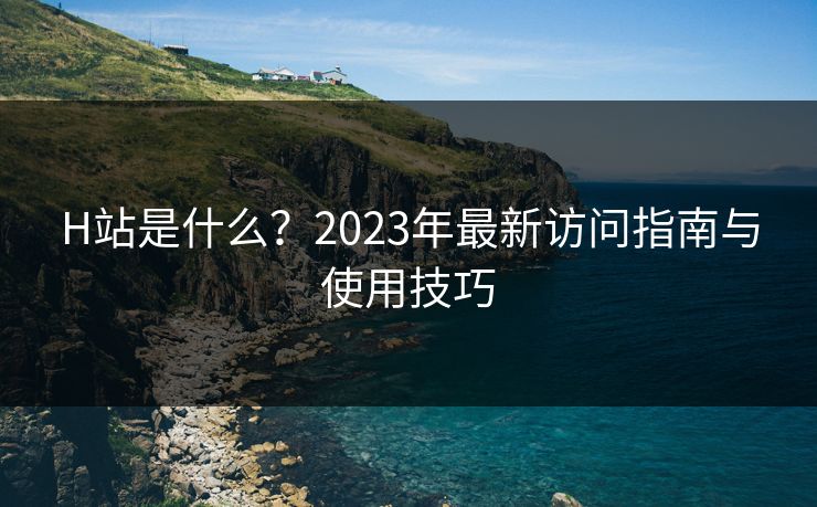 H站是什么？2023年最新访问指南与使用技巧