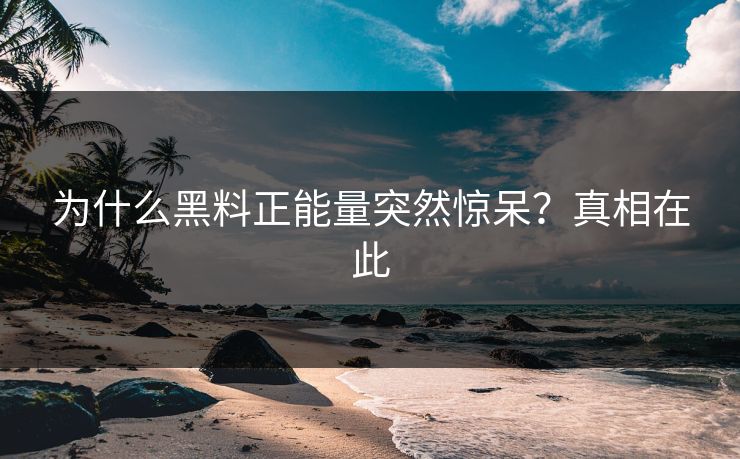 为什么黑料正能量突然惊呆？真相在此