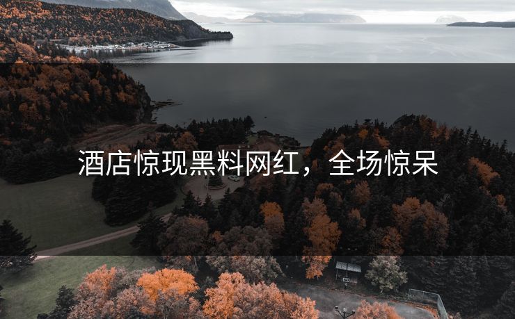酒店惊现黑料网红，全场惊呆