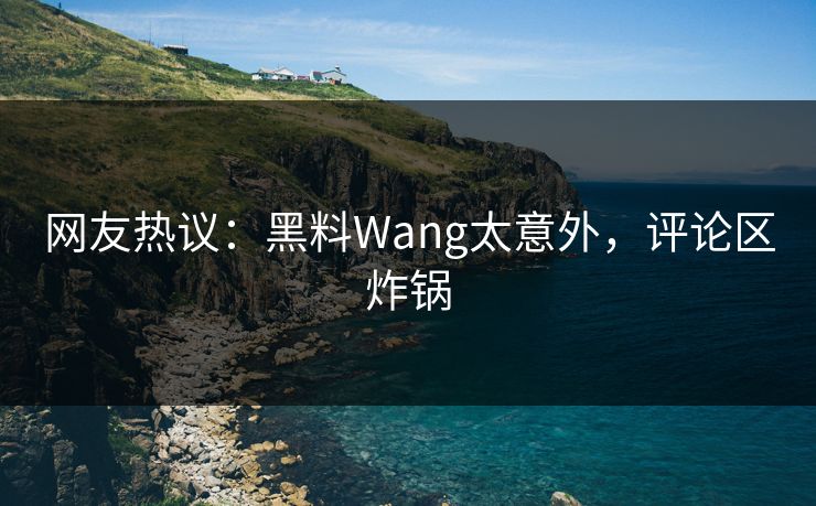 网友热议：黑料Wang太意外，评论区炸锅