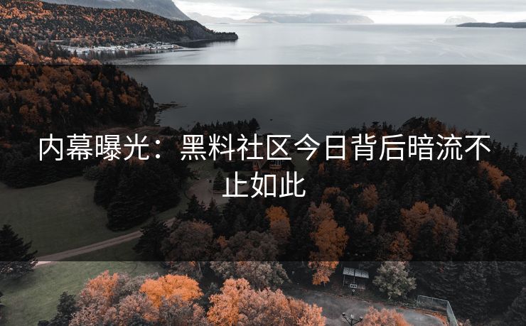 内幕曝光：黑料社区今日背后暗流不止如此