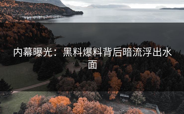 内幕曝光：黑料爆料背后暗流浮出水面
