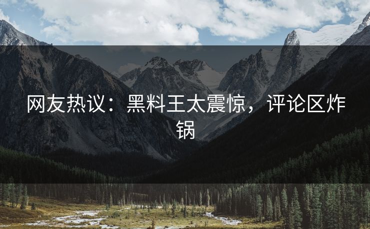 网友热议：黑料王太震惊，评论区炸锅