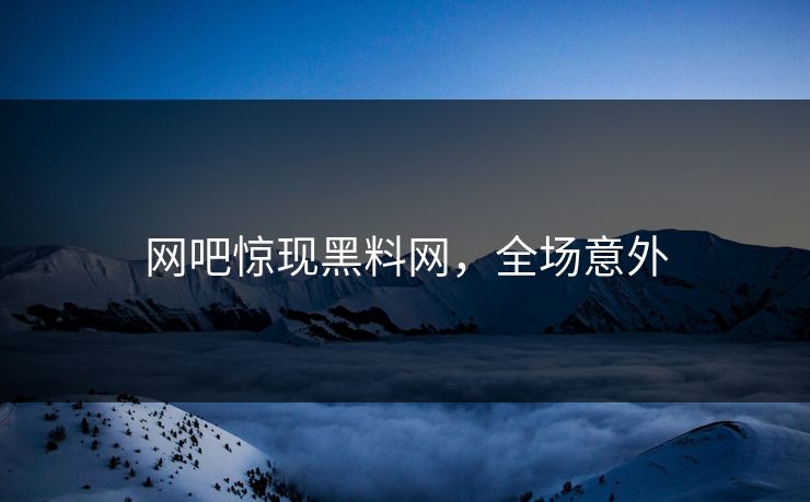 网吧惊现黑料网，全场意外