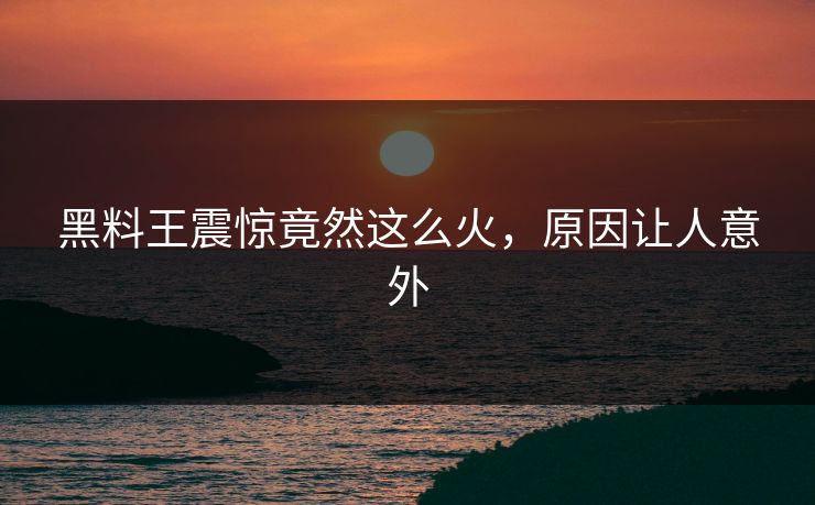 黑料王震惊竟然这么火，原因让人意外