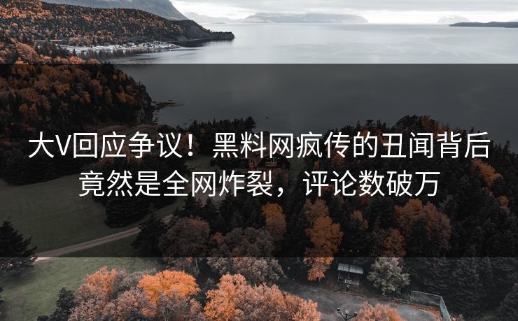 大V回应争议！黑料网疯传的丑闻背后竟然是全网炸裂，评论数破万